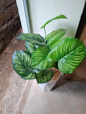 Stripped Plant on Vase Classy Home Decor - main view