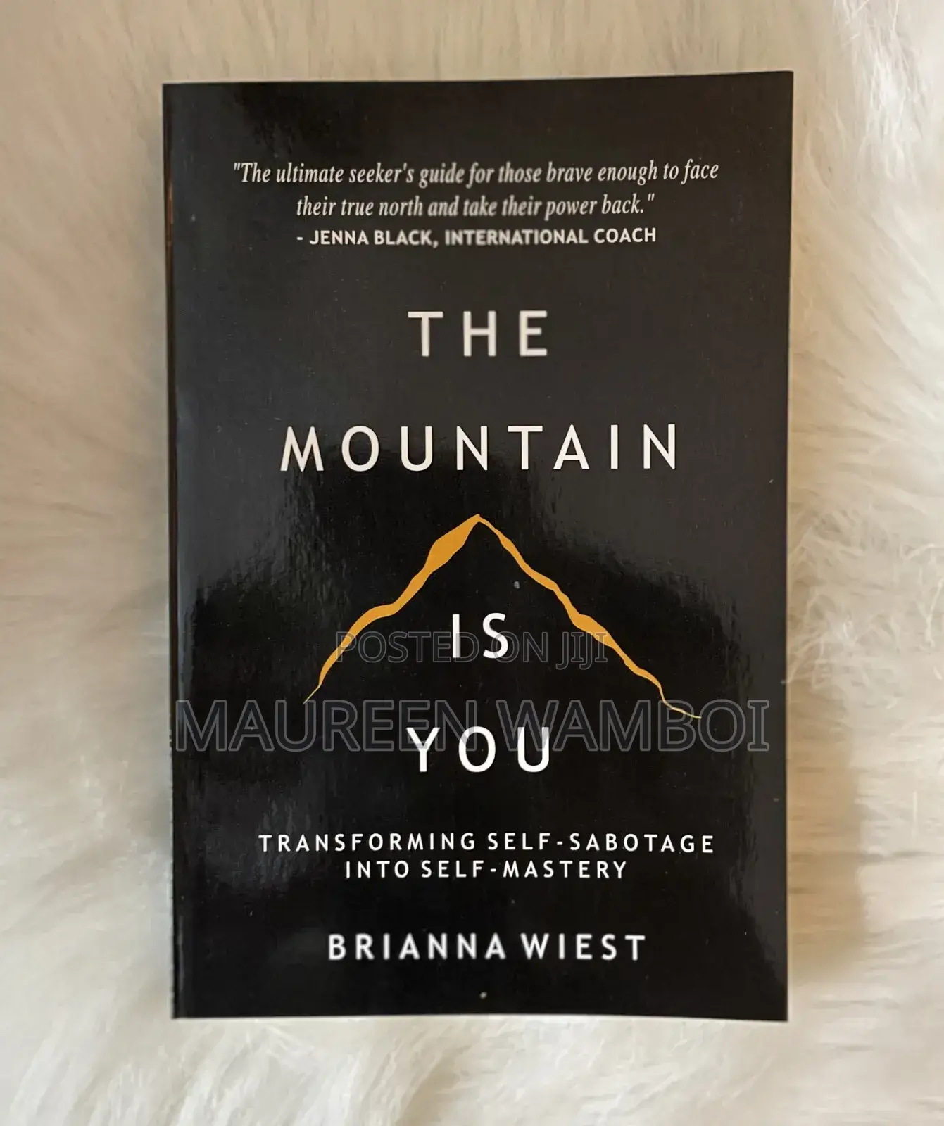 The Mountain Is You