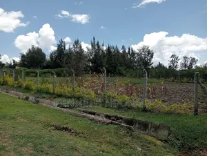 2 (100*100 ) Plots for Sale Ruai
