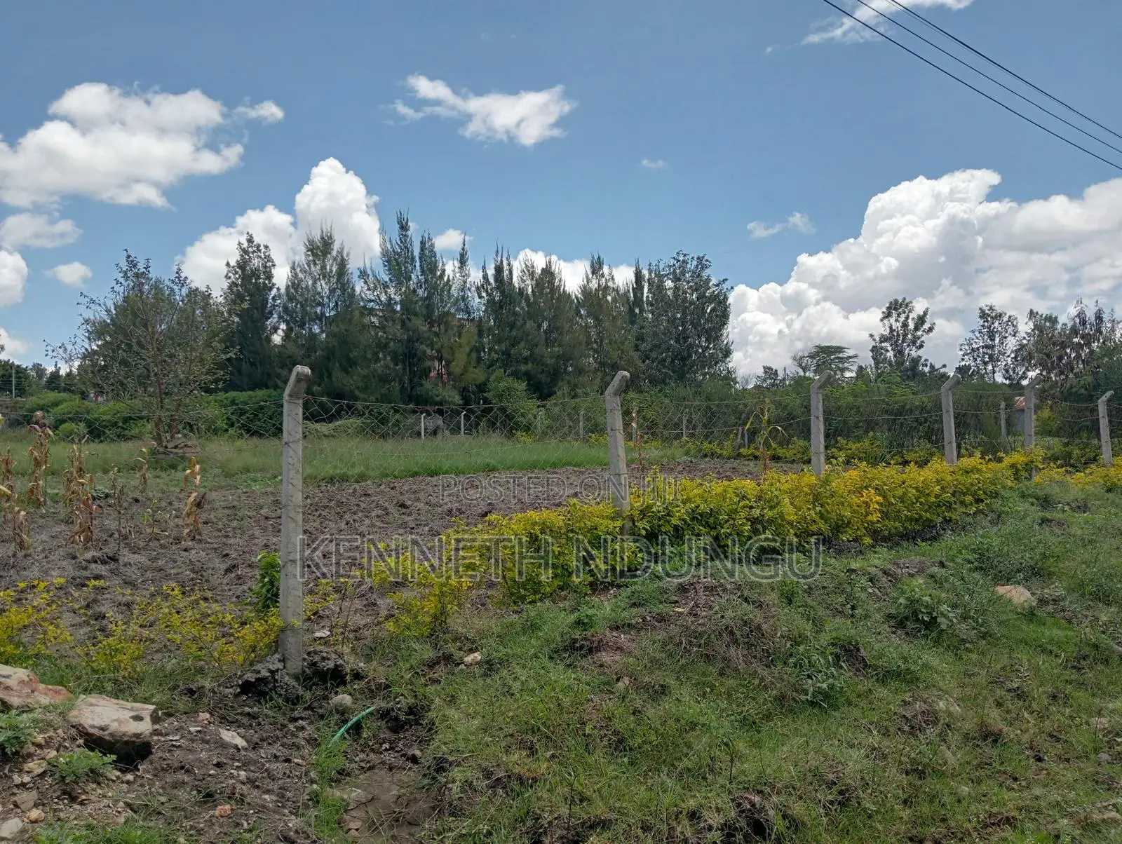 2 (100*100 ) Plots for Sale Ruai