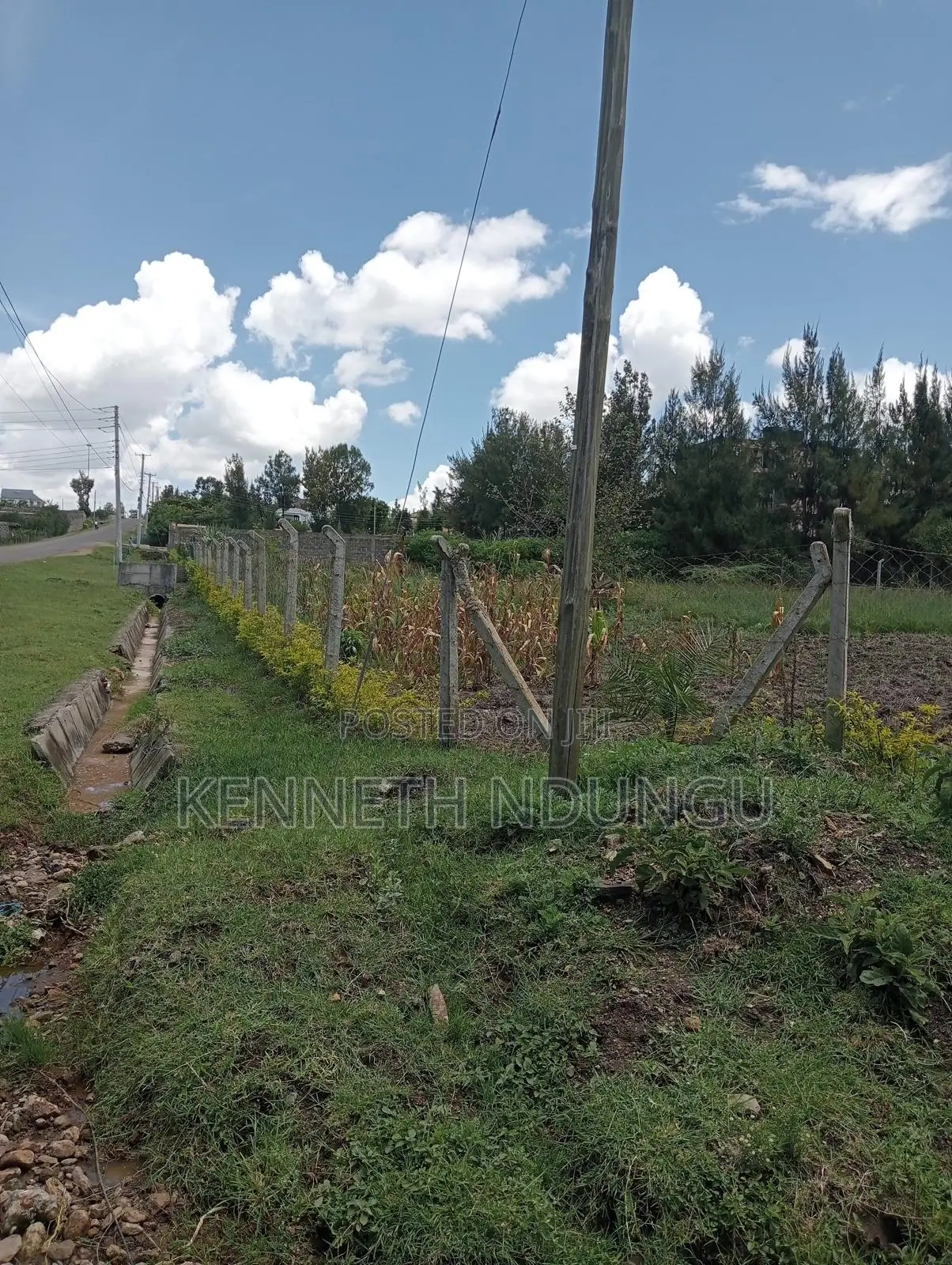 2 (100*100 ) Plots for Sale Ruai