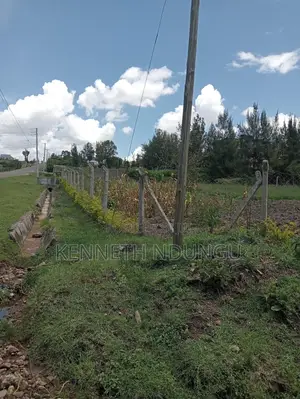 2 (100*100 ) Plots for Sale Ruai