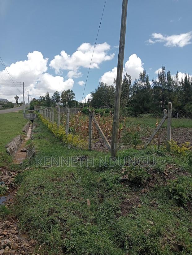 2 (100*100 ) Plots for Sale Ruai - thumbnail 5