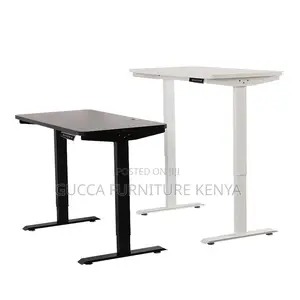 Electric Motorized Standing Office Desk-1200mm