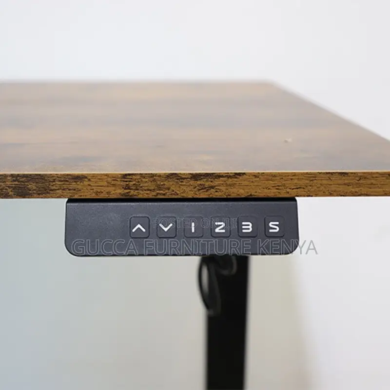 Electric Motorized Standing Office Desk-1200mm