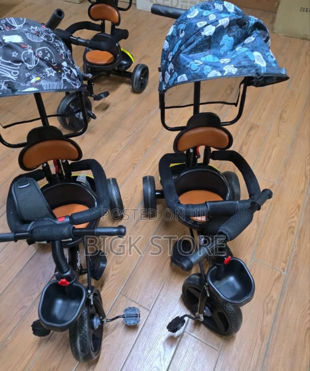 Unisex Kids Tricycle With Push Handle and Canopy