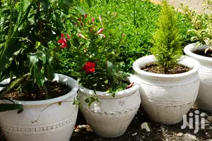 Hanging Flowers And Potted Plants