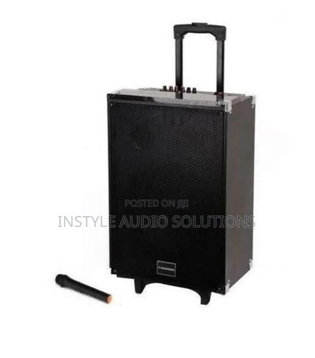 12" Tag Wood Powered Rechargeable Speaker Usb Wireless Microphone