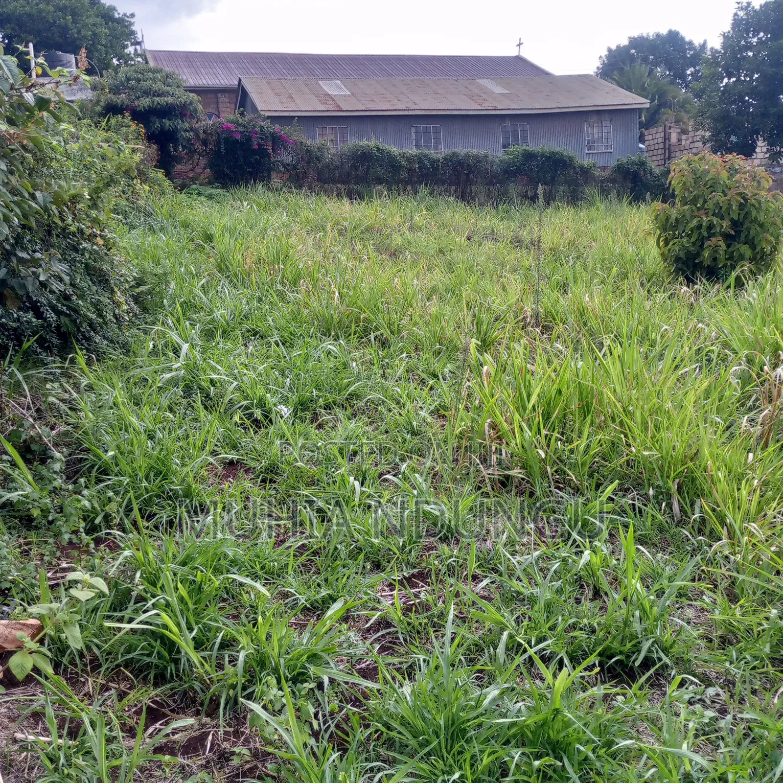 100x100 / 1⁄4 Acre Plot Lower Kabete