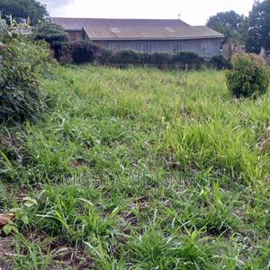 100x100 / 1⁄4 Acre Plot Lower Kabete - thumbnail 2