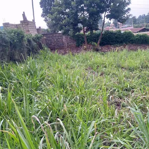 100x100 / 1⁄4 Acre Plot Lower Kabete