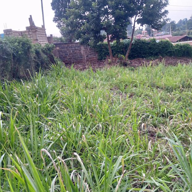 100x100 / 1⁄4 Acre Plot Lower Kabete - thumbnail 3