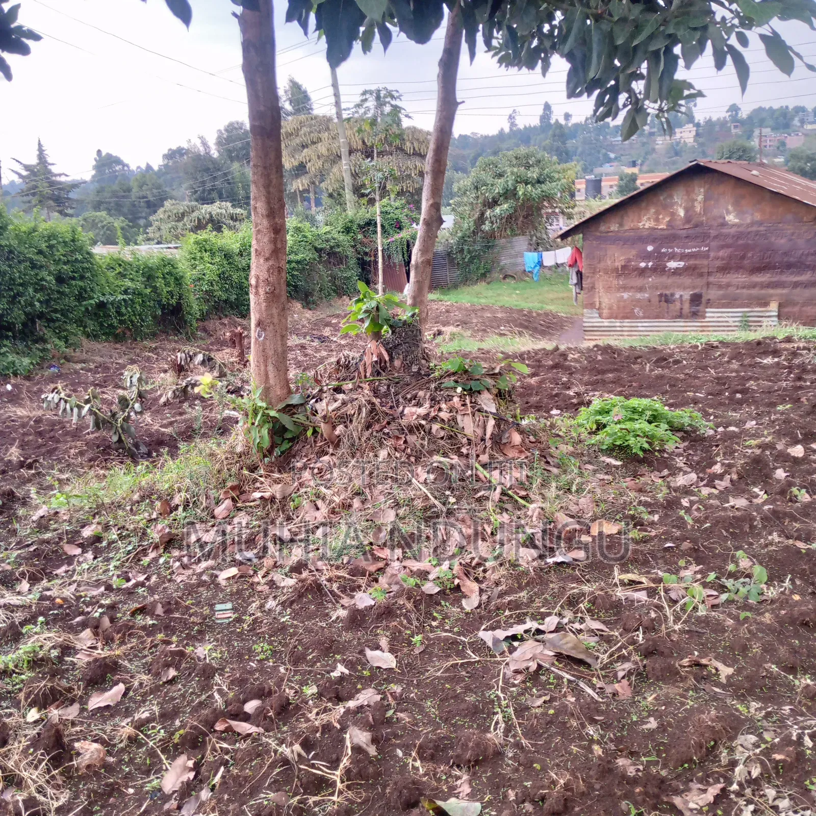 100x100 / 1⁄4 Acre Plot Lower Kabete