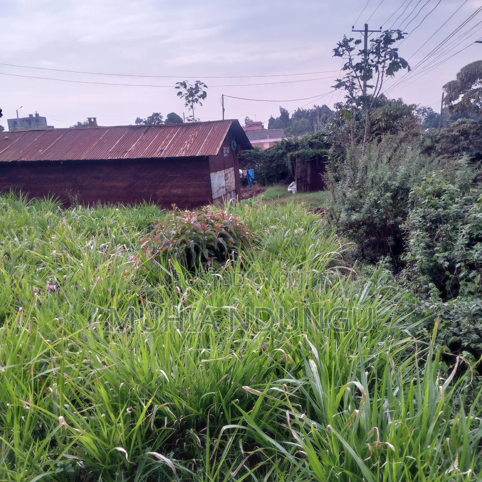 100x100 / 1⁄4 Acre Plot Lower Kabete