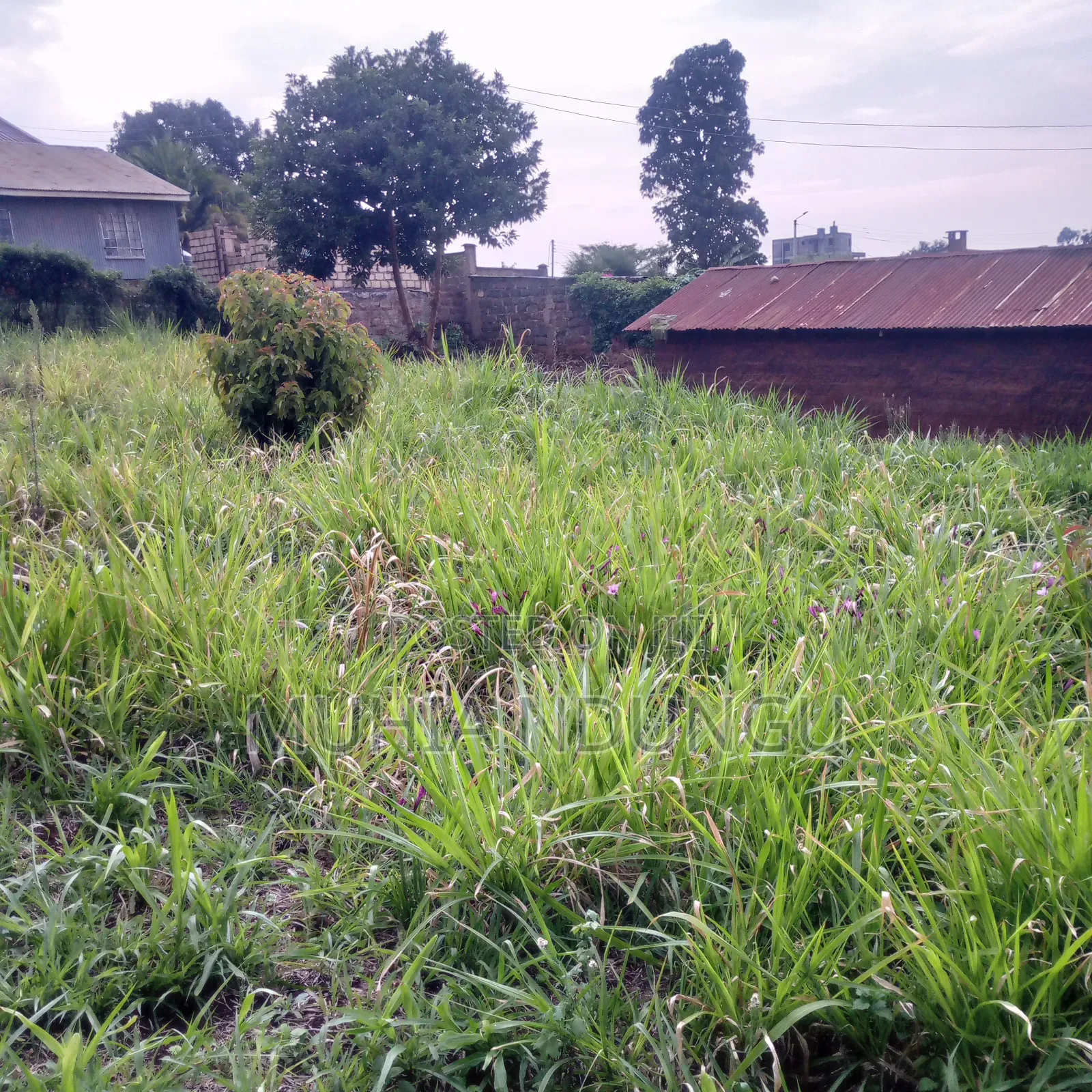 100x100 / 1⁄4 Acre Plot Lower Kabete