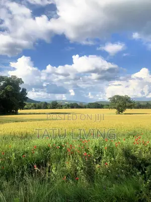 Own A Fully Serviced 1/4 Acre Plot In Tatu City | Lulu Park From