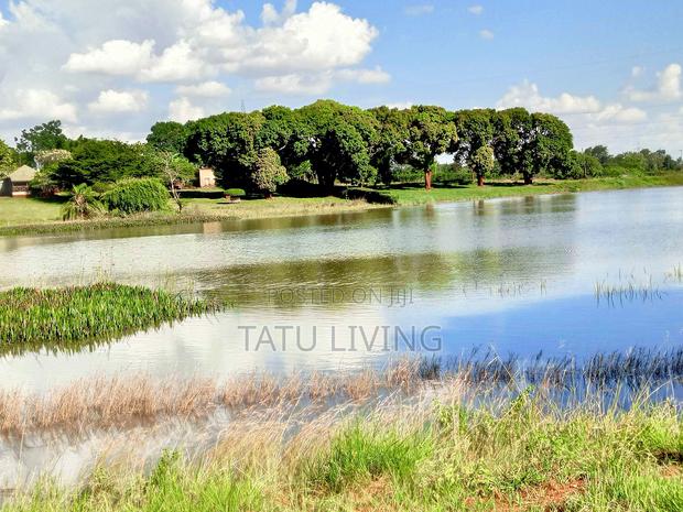 Own A Fully Serviced 1/4 Acre Plot In Tatu City | Lulu Park From - thumbnail 3