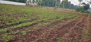Several Plots for Sale in Racecours Eldoret - thumbnail 2