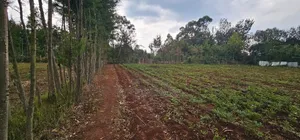 Several Plots for Sale in Racecours Eldoret