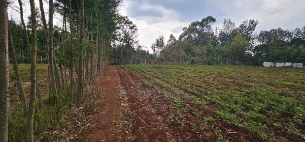Several Plots for Sale in Racecours Eldoret - thumbnail 3
