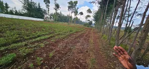Several Plots for Sale in Racecours Eldoret