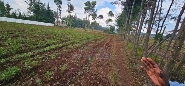 Several Plots for Sale in Racecours Eldoret - thumbnail 4