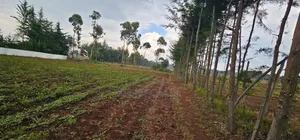 Several Plots for Sale in Racecours Eldoret