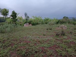 An Acre Freehold Land in Kisumu Nyahera - thumbnail 2
