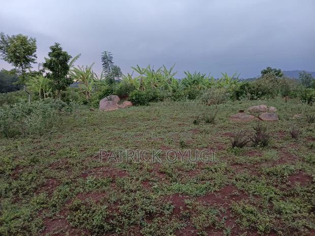 An Acre Freehold Land in Kisumu Nyahera - main view