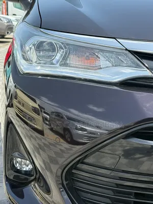 Toyota Axio 2018 Purple