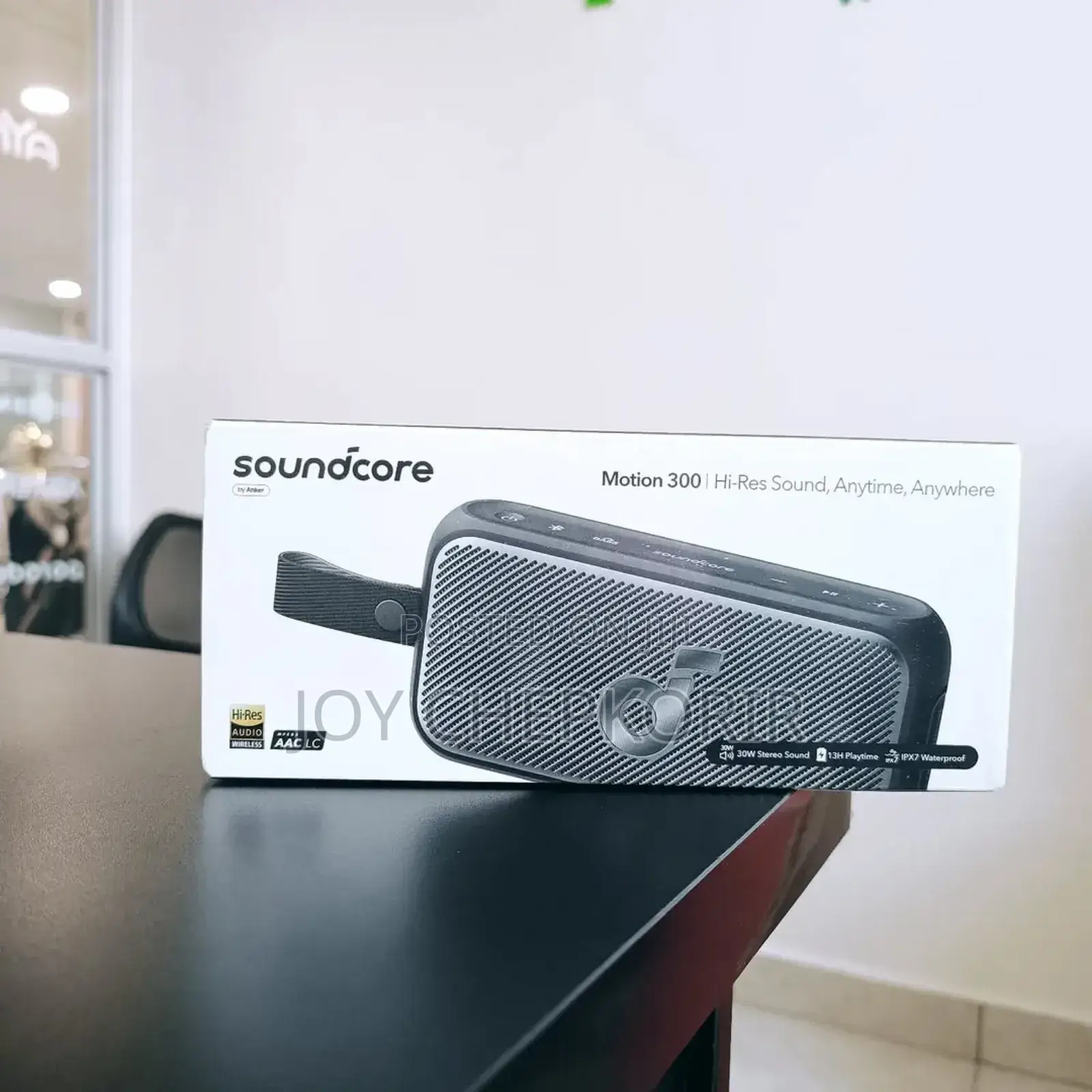 Anker Soundcore Motion 300