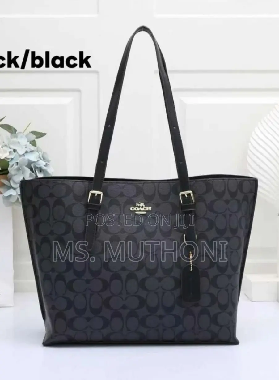 Coach Mollie Tote Bag 34 Dupe