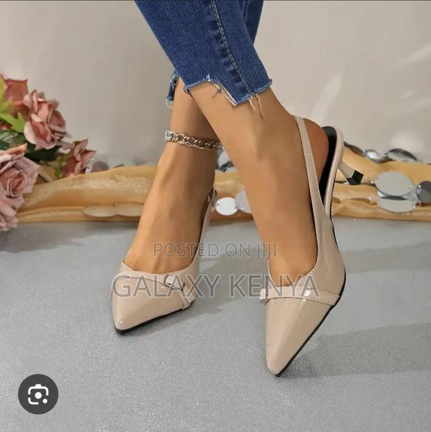 Kitten #12 Ladies - thumbnail 6