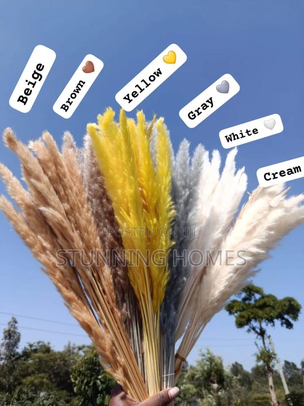 Natural Mini Pampas Grass - main view