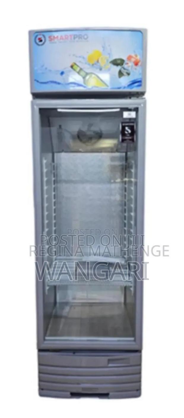Commercial Smart Pro Display Fridge 255l - main view