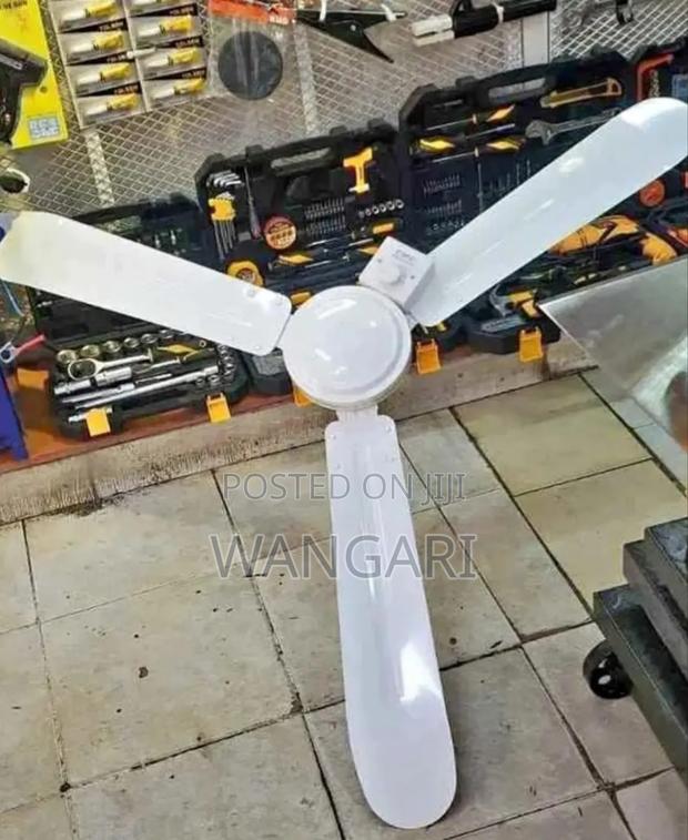 Windsor Size 56 Ceiling Fan Brand New