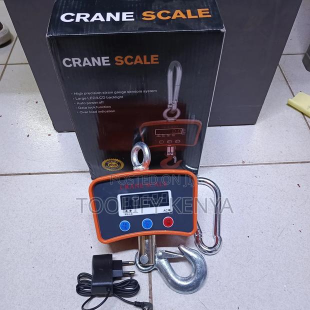500kg Hanging Charging Crane Scale - main view