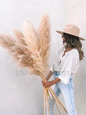 Fluffy Xl Pampas Grass