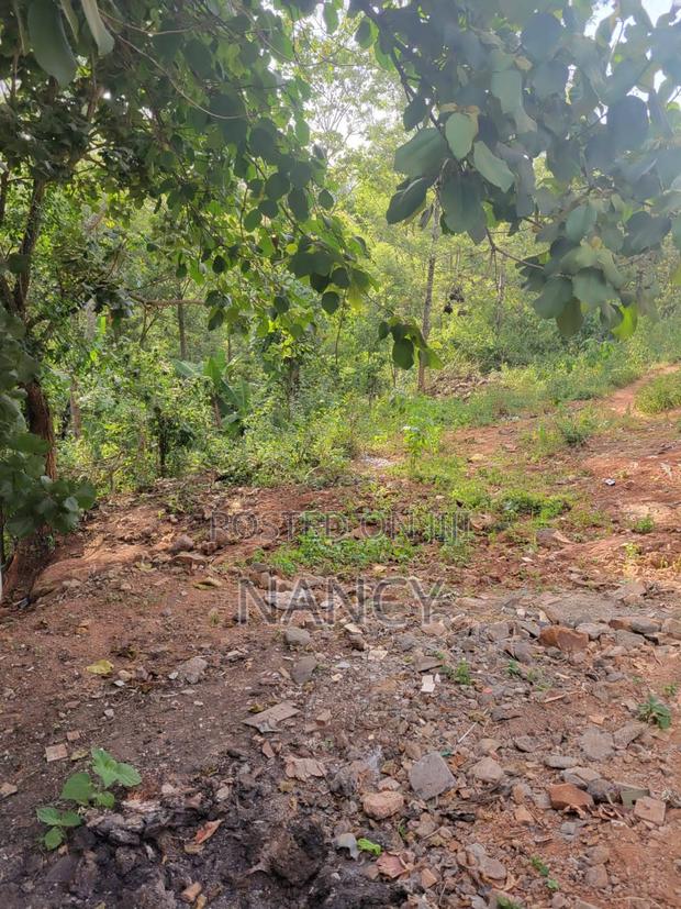 50x100 Plot in Kikuyu