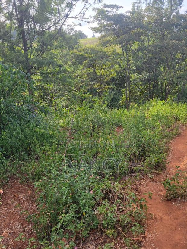 50x100 Plot in Kikuyu - thumbnail 2