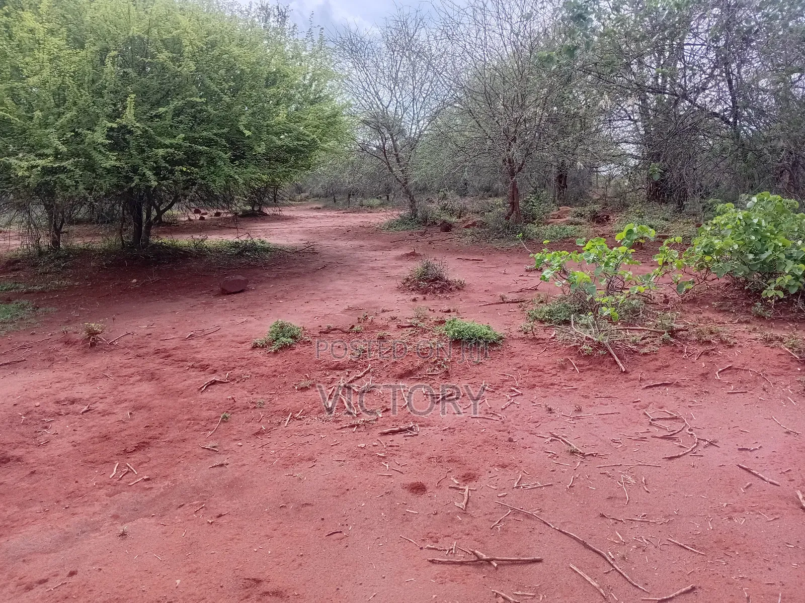 Kiritiri 50acres for Sale.