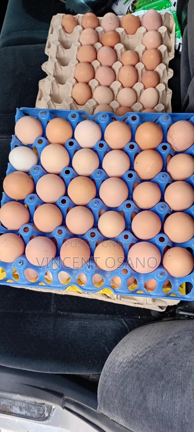 Improved Kienyeji Eggs - thumbnail 3