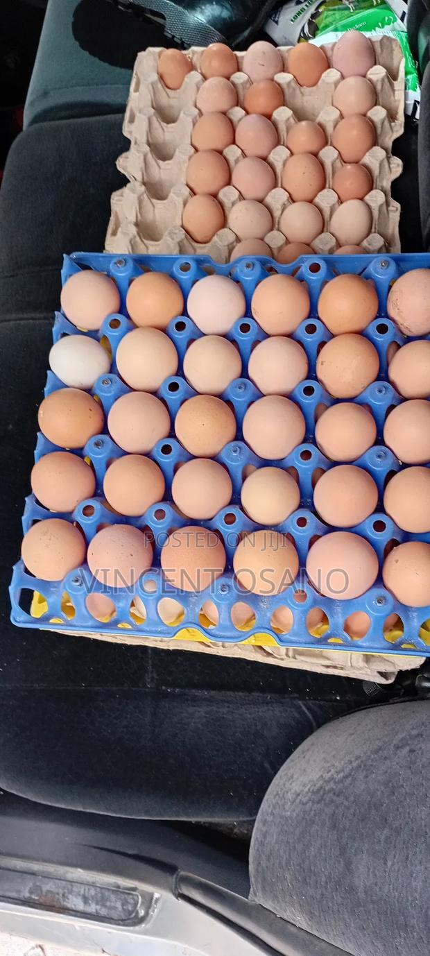 Improved Kienyeji Eggs - thumbnail 5