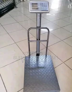 Digital New 300kgs Platform Weighing Scale