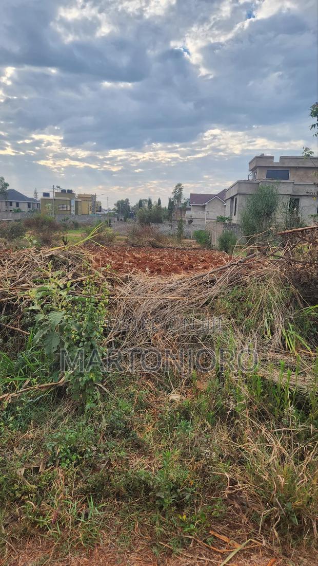 Mugutha Behide Spurmall Ruiru - main view