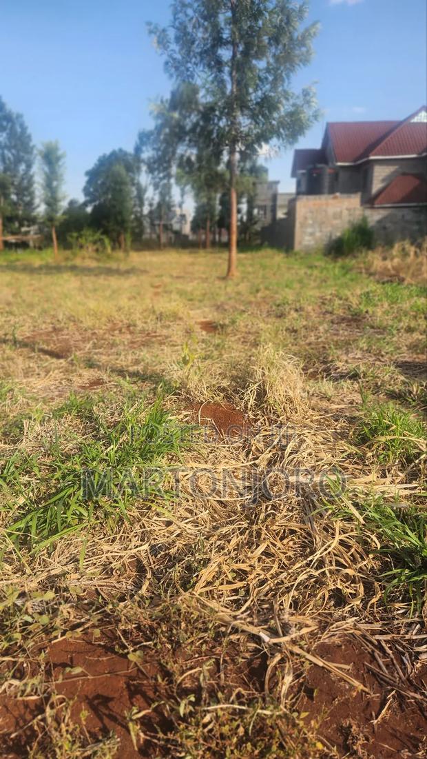 Mugutha Behide Spurmall Ruiru - thumbnail 2