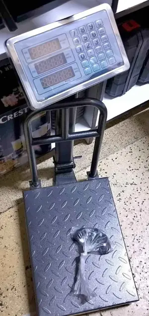 150kg Heavy Duty Commercial Platform Weighing Scale/150 Kg Scale
