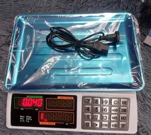 Armless Butchery Weighing Scale/30kg Scale