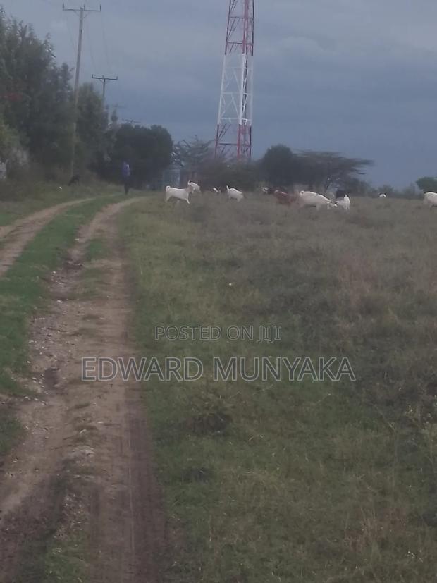 50x100 Plot for Sale in Kisaju – Near Jamii Bora