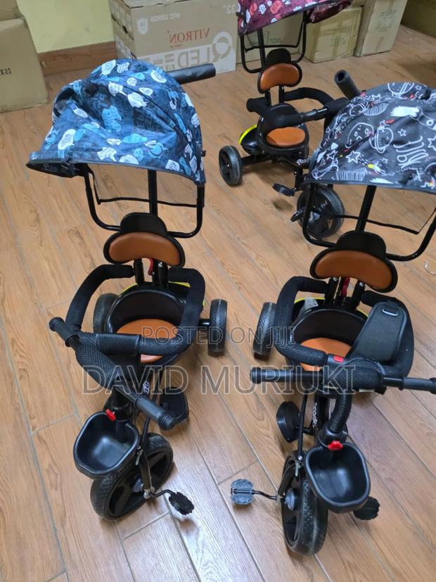 3-Wheel Tricycle With Sun/Rain Canopy. - main view